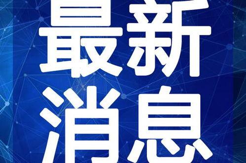 陇南都市爆料新闻视频最新,揭秘神秘事件背后的真相